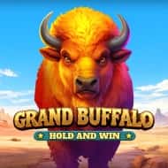 Grand Buffalo Hold And Win